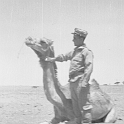 226ATN SMARA